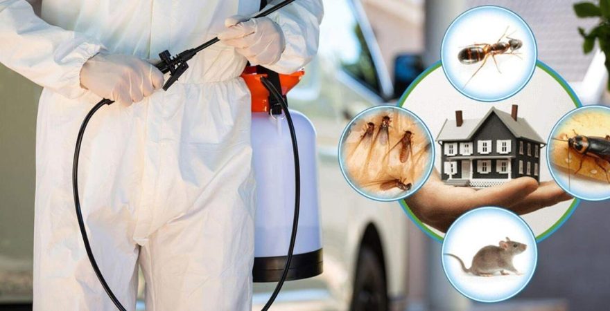 Hazro Böcek İlaçlama