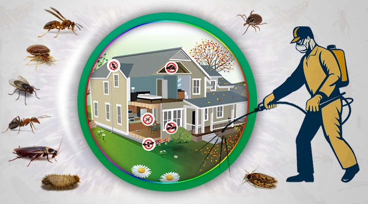 Hazro Böcek İlaçlama