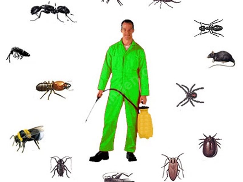 Hazro Böcek İlaçlama